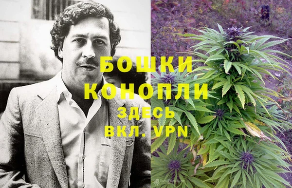 винт Армянск