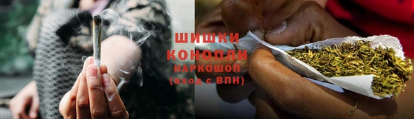 прущие грибы Нея