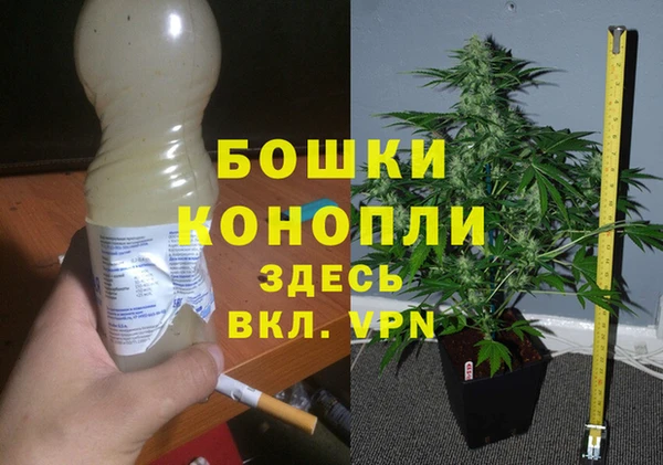 амф Арсеньев