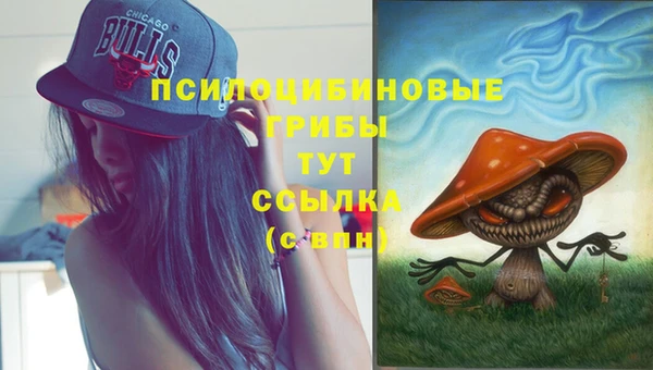 винт Армянск